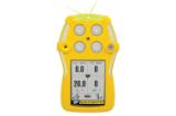 BW GasAlert Quattro LEL(F)O2 H2S CO Gas Detector (Alkaline Battery)